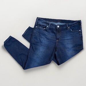 Silver Jeans - Elyse Skinny - Size 16W/L29